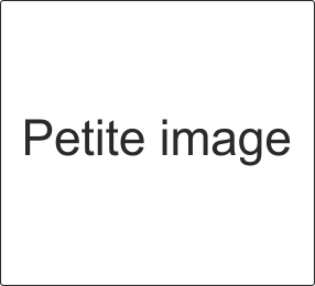 Accueil image petite