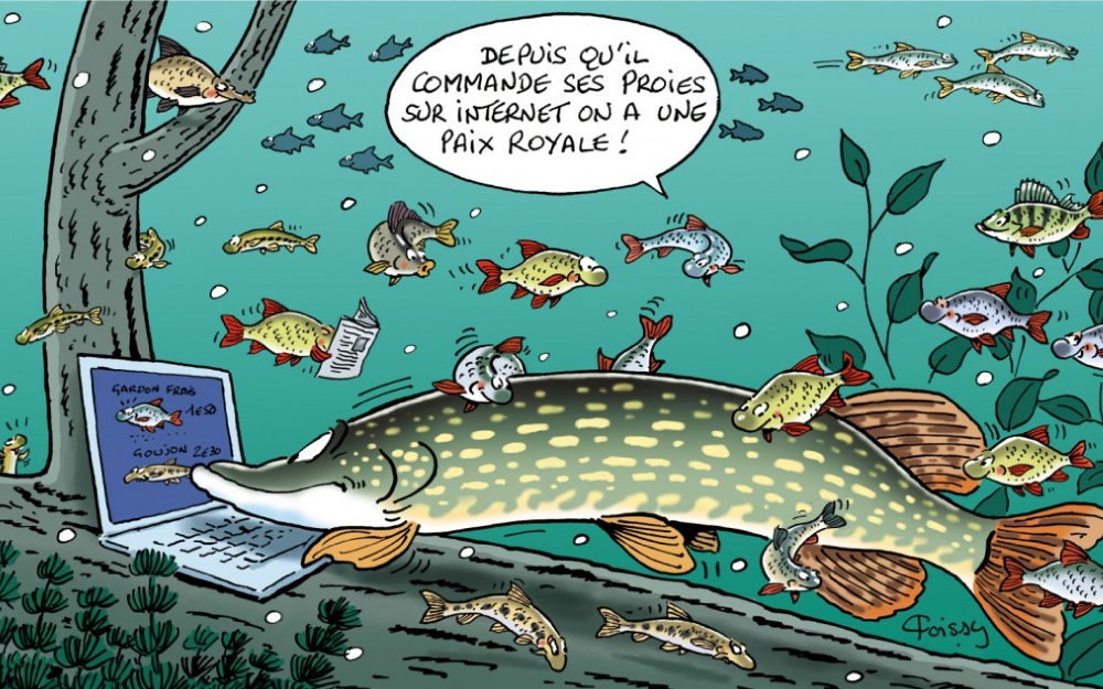 Carnet de capture