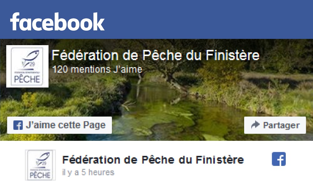 Page facebook