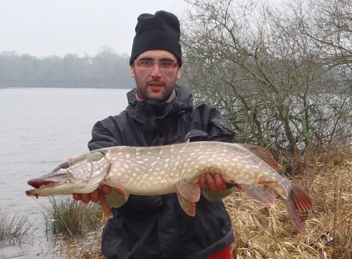 Brochet
