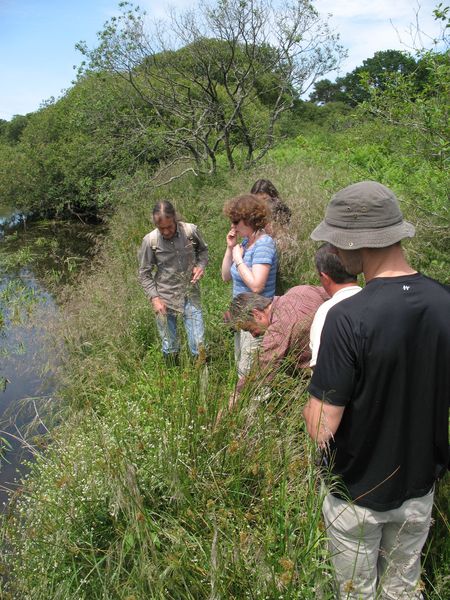 Réseau des techniciens de rivières : formation terrain plantes aquatiques_2009 Formation plantes cours d'eau