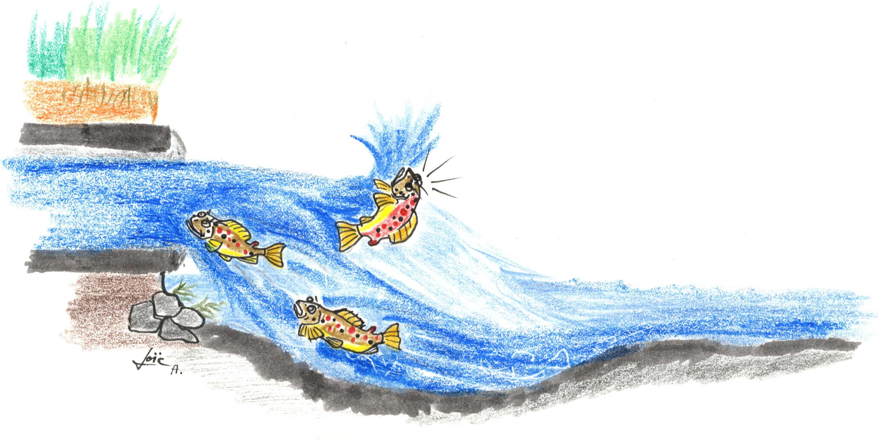 Img051