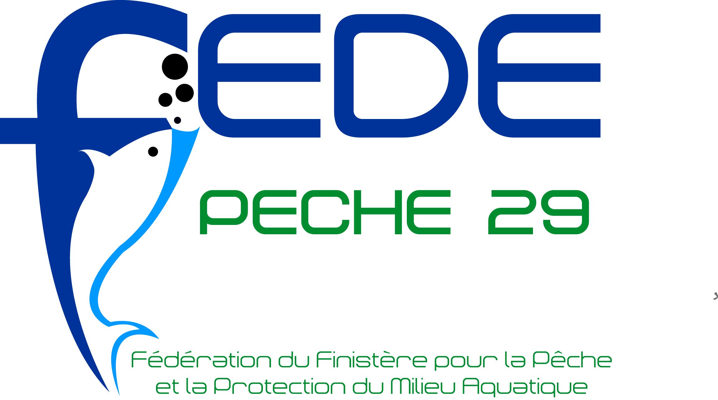 FEDE 29 FEDE 29