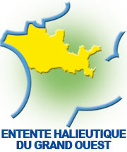 Logo ehgo